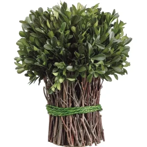 APS230-GR 10.2"PRESERVED BOXWOOD BUNDLE - cozylivehome.com | we sell a wide range of comfortable household items* Giftware