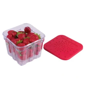 Shop All^BERRY FRESH BOX RED - cozylivehome.com | we sell a wide range of comfortable household items