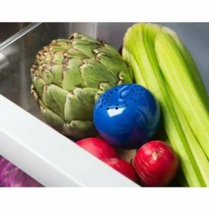 Shop All^Blu Apple Refill - cozylivehome.com | we sell a wide range of comfortable household items