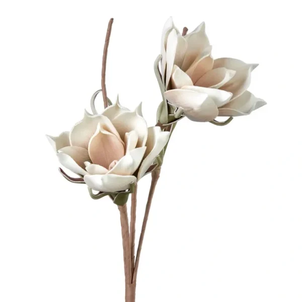 EVA&Irn.Magnolia Branch - cozylivehome.com | we sell a wide range of comfortable household items* Giftware
