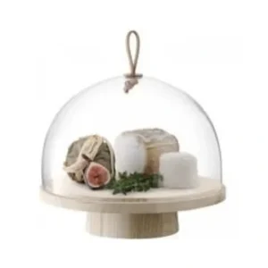 G1500-28-301 Ivalo Ash Stand & Dome 11in H9 in Clear - cozylivehome.com | we sell a wide range of comfortable household items* Giftware