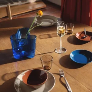 Shop All^Iittala Aalto Vase, Ultramarine Blue - cozylivehome.com | we sell a wide range of comfortable household items