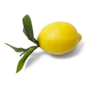 4.5 Inch Lemon w/Foliage - cozylivehome.com | we sell a wide range of comfortable household items* Giftware