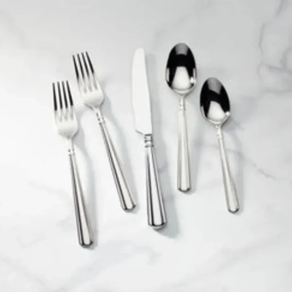Shop All^890906 Lenox AMBER HILL Flatware Service For 12 - cozylivehome.com | we sell a wide range of comfortable household items