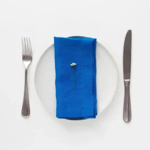Shop All^Linen Napkin 2-Set 16" - cozylivehome.com | we sell a wide range of comfortable household items