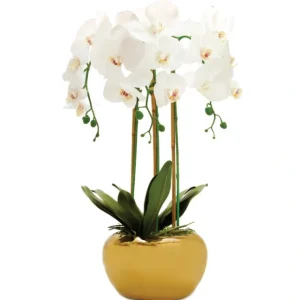 OP3010 3 Branched White Orchid Plant in Gold Pot - cozylivehome.com | we sell a wide range of comfortable household items* Giftware