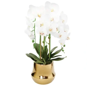 OP2722 White Orchid plant in Round shiny gold vase - cozylivehome.com | we sell a wide range of comfortable household items* Giftware