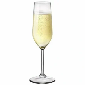 Riserva Champagne Glass 7oz - cozylivehome.com | we sell a wide range of comfortable household items* Shop All