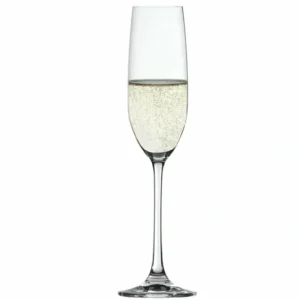 Salute Champagne Glass 7.4oz - cozylivehome.com | we sell a wide range of comfortable household items* Shop All