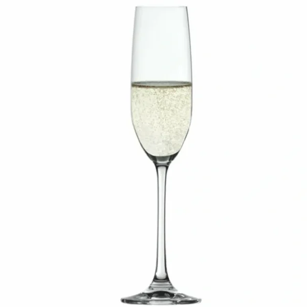 Salute Champagne Glass 7.4oz - cozylivehome.com | we sell a wide range of comfortable household items* Shop All