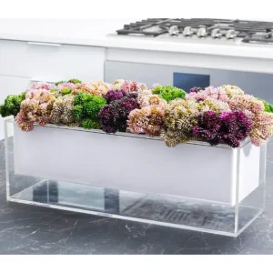 VAF-SU-RE-W-SP Vase Flower - Succulent Purple - cozylivehome.com | we sell a wide range of comfortable household items* Giftware